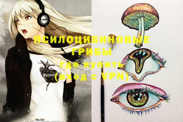 стафф Абинск