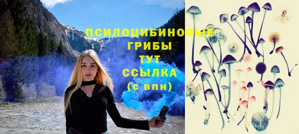 стафф Абинск