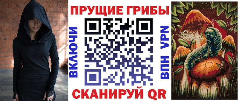 darknet состав  MEGA зеркало  Норильск  Галлюциногенные грибы Psilocybe 