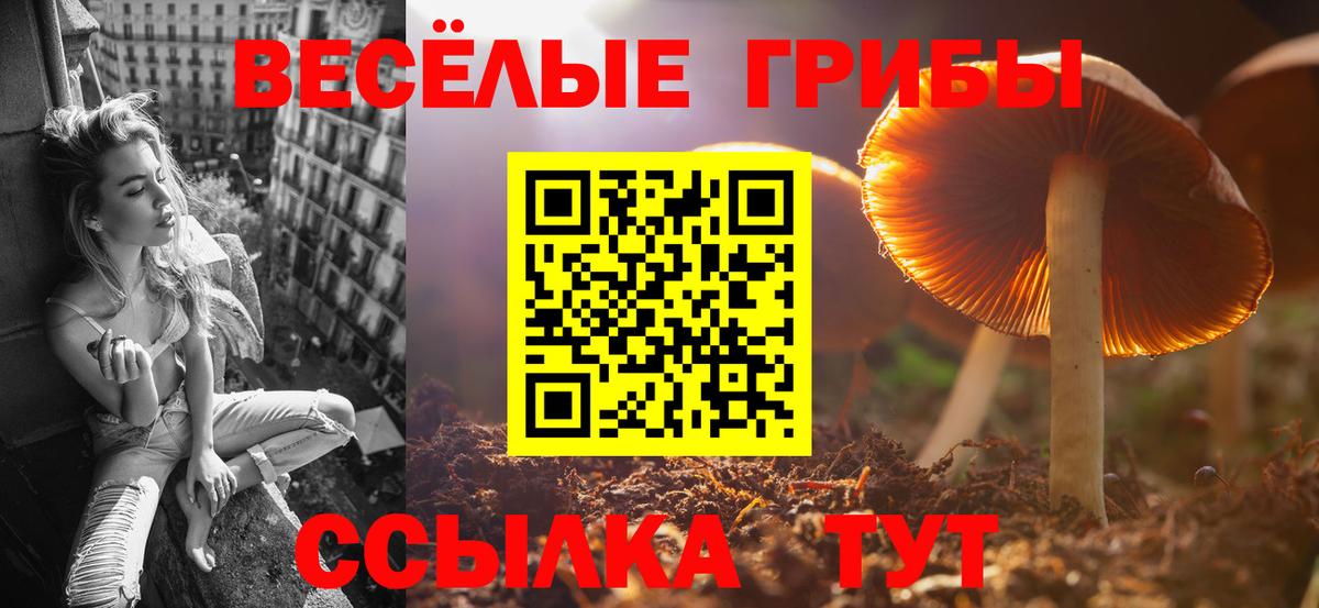 Псилоцибиновые грибы ЛСД Норильск