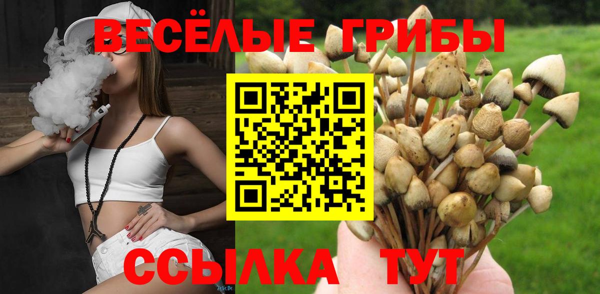 Псилоцибиновые грибы ЛСД  Галлюциногенные грибы Cubensis  Вход с VPN  Норильск 