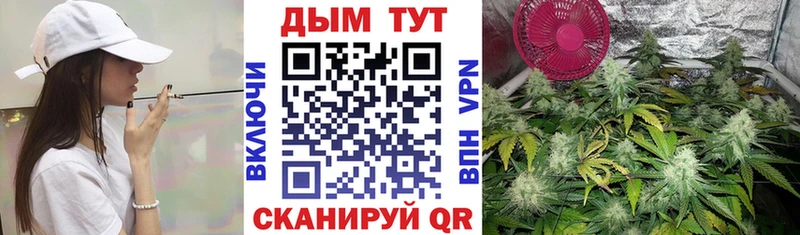 Конопля тримм  Норильск 